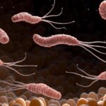 Studie Warn VOR 15,6 Mio. Betroffenen Weltweit