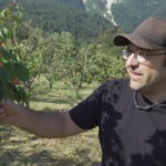 Tagessinfo vom 02.07.2025