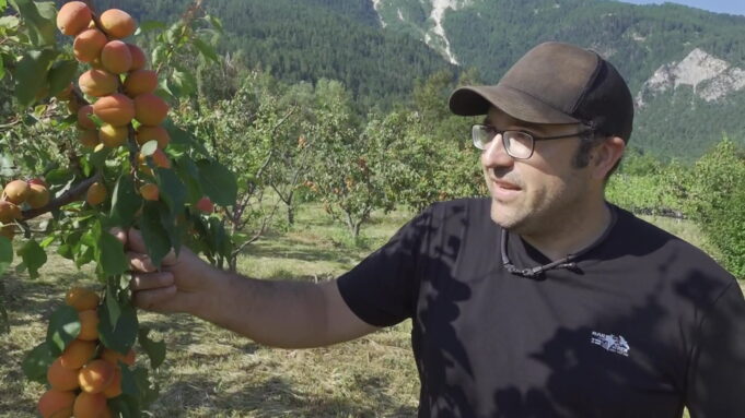 Tagessinfo vom 02.07.2025

