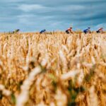 Tour de France Designer verteidigt das Doppel -Snooze -Wochenende