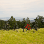 Unsere Lieblings-Vollpath-Fahrräder im VELO-Feldtest 2025