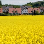 WARUM -PRIRE -WERIRER STEINGEN STEINGEN