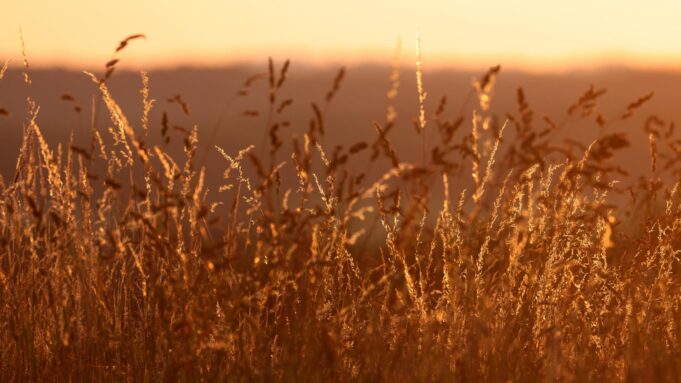Wet Hessen: Hitze-hönhepunktam Mittwoch MIT bis Zu 39 Abschluss | Hessenschau.de

