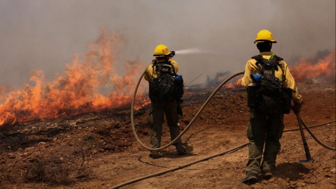 "Madre-Feuer"

